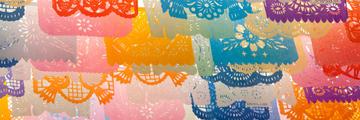Page Banner