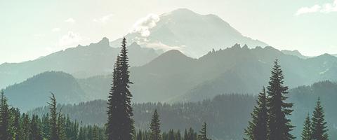 Washington