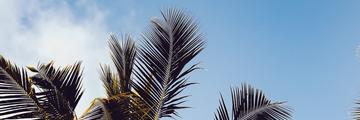 Page Banner