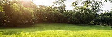 Page Banner