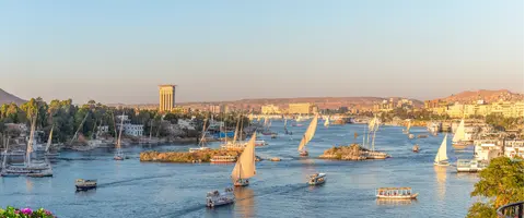 Expert Guided Tours