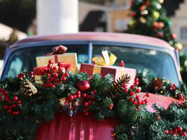 Park Your Sleigh and Soar