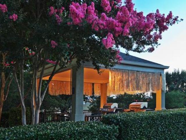 Sonesta Simply Suites Dallas Richardson Image