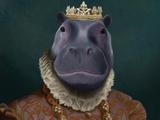 The Baron of Austin Experience