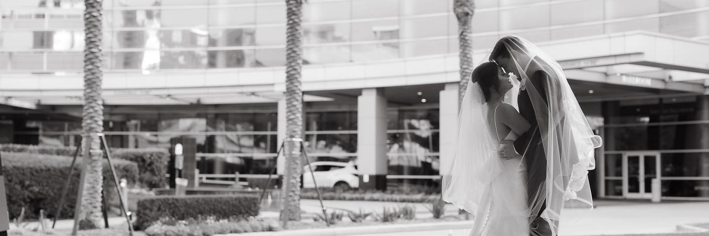 Page Banner