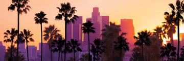 Page Banner