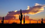 Arizona Resident Rate