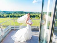 Bee Cave Weddings