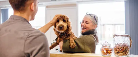 24-hour vet services: