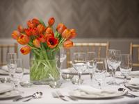 Dupont Circle Weddings 