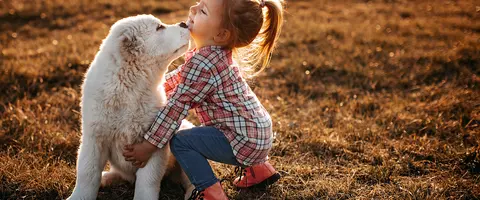 Dog sitting services:
