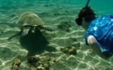 Kaua'i Adventure