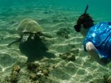 Kaua'i Adventure