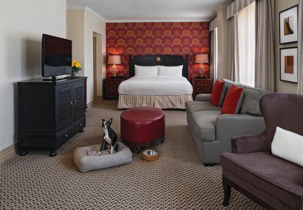 Refined Downtown Austin Hotel