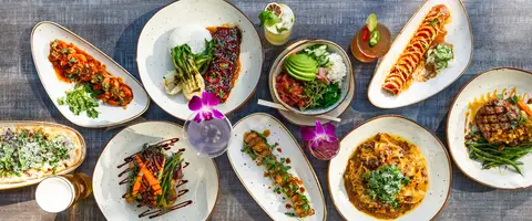Explore Our Food 