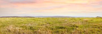 Page Banner