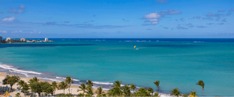 Resort Live Feed
