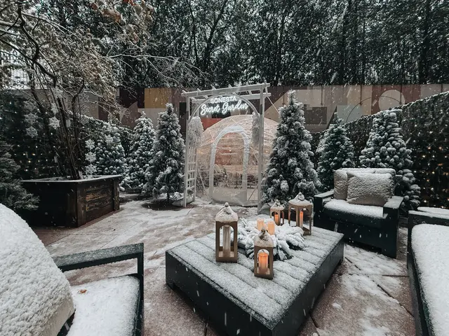 Secret Winter Garden