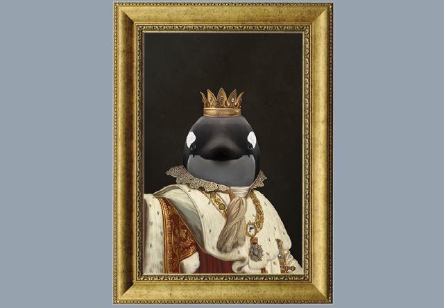 Royal Mascots Landing Page | Sonesta