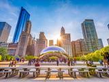 License to Stay in Illinois