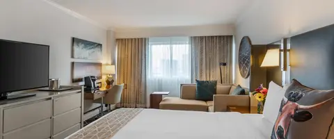 HCA Houston Hospitals