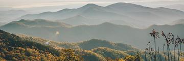 Page Banner