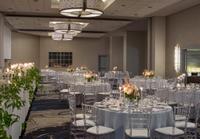 Venue Highlight