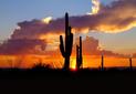 Scottsdale